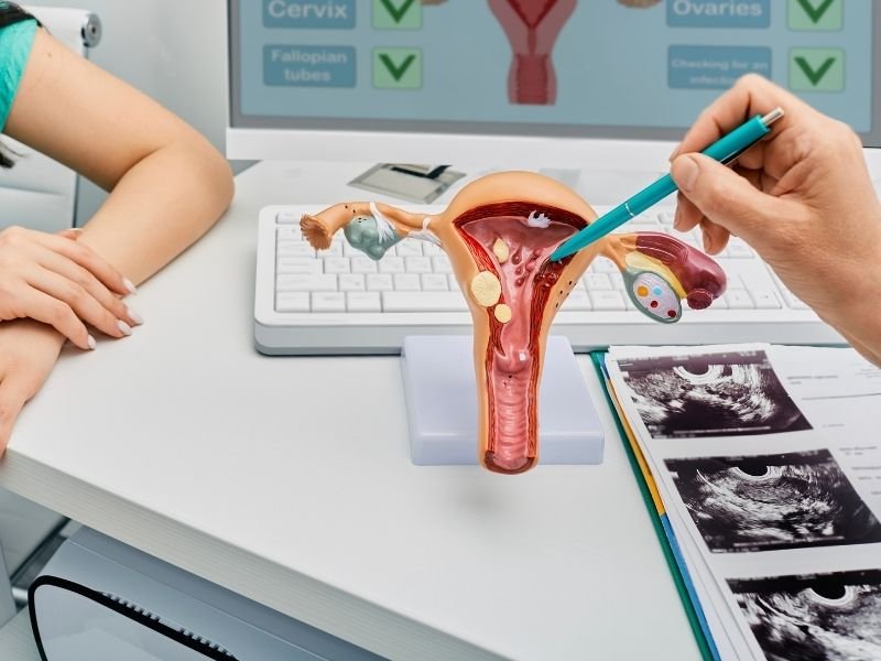 Who is the Best Female Gynaecologist in Faridabad?